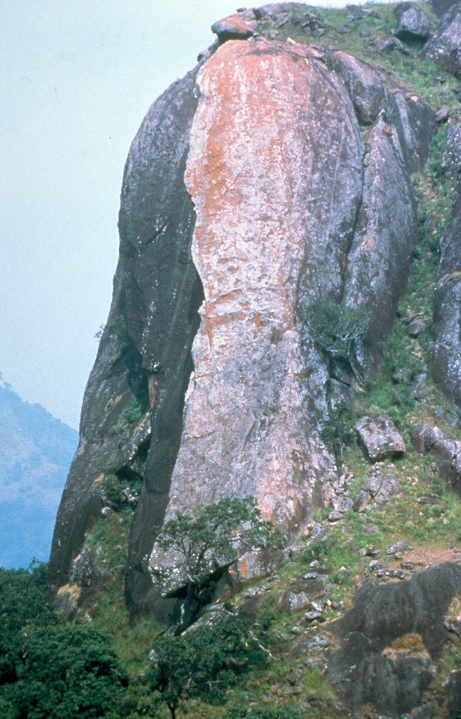 Anamalai – India's Elephant Mountain - Van film