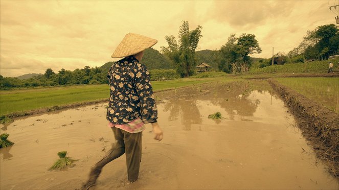 Na cestě - Na cestě po laoském Luang Prabangu - Van film