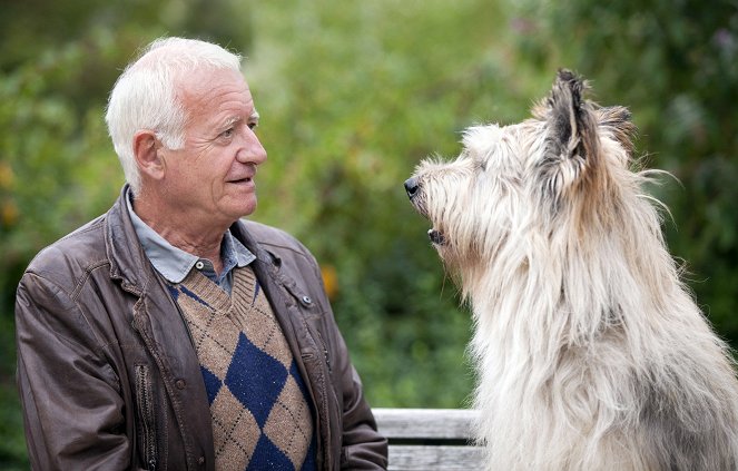 Heiter bis tödlich - Fuchs und Gans - Werbefoto - Peter Bongartz