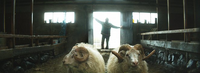 Rams (El valle de los carneros) - De la película