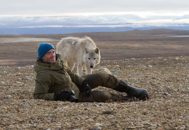 Arktisen susiperheen matkassa - Kuvat elokuvasta - Gordon Buchanan