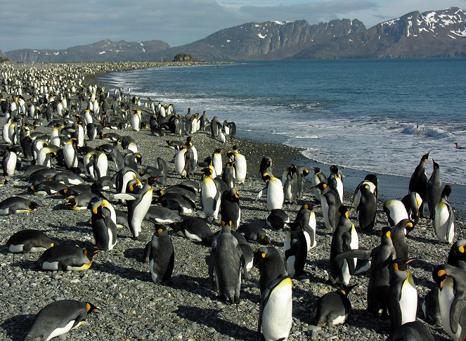 Wild Unseen Islands - De la película