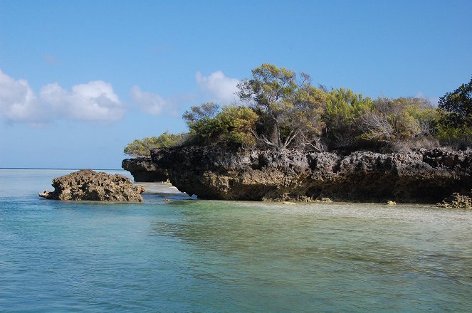 Aldabra: Byl jednou jeden ostrov - Van film