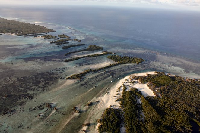 Aldabra: Bol raz jeden ostrov - Z filmu