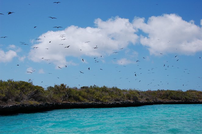 Aldabra: Byl jednou jeden ostrov - Kuvat elokuvasta