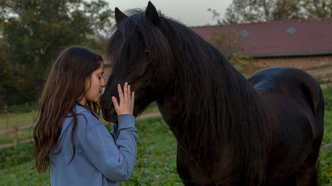 Hördur - Z filmu - Almila Bağrıaçık