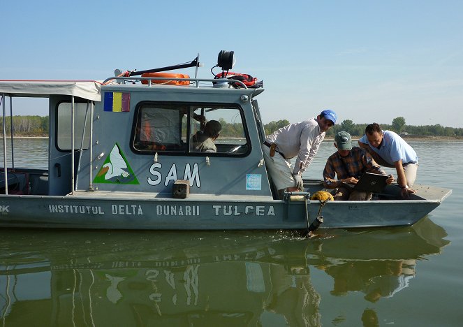 Der Milliarden-Dollar-Fisch - Die letzten Tage des Beluga-Störs? - Filmfotos