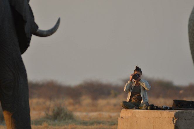 Az elefántok királya - Filmfotók