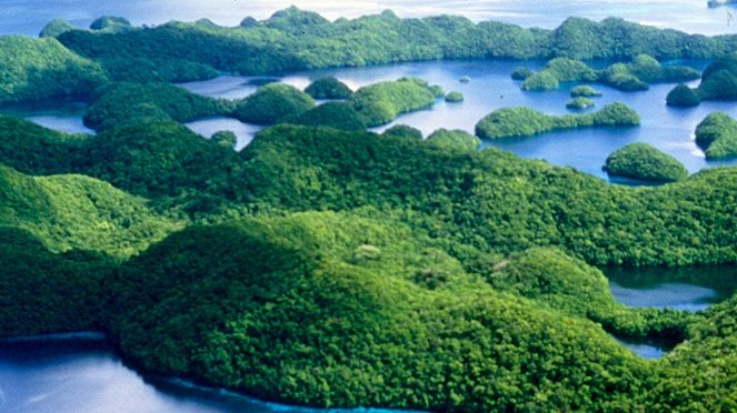 Palau: Paradise of the Pacific - Van film