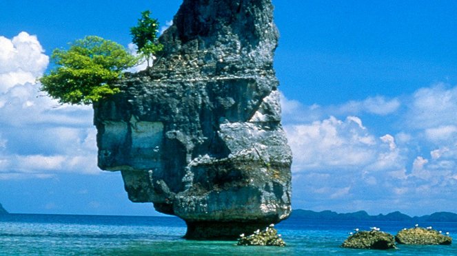 Palau: Paradise of the Pacific - Van film