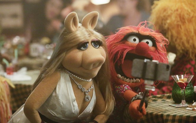 The Muppets - Z filmu