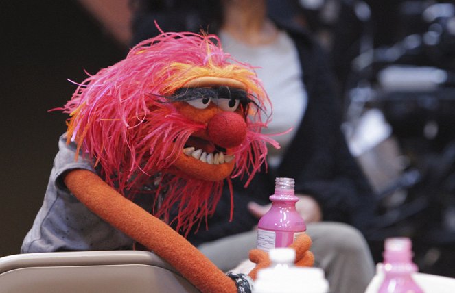 The Muppets - Z filmu