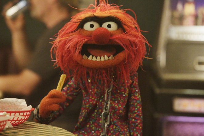 The Muppets - Z filmu