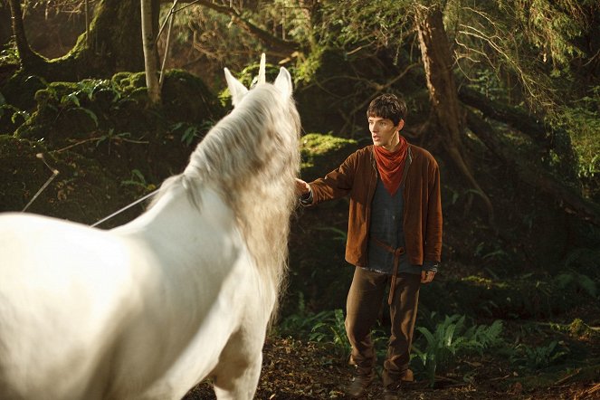 Merlin - The Labyrinth of Gedref - Photos - Colin Morgan