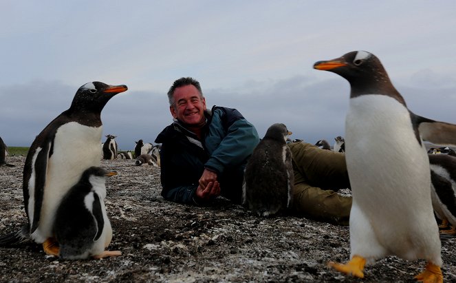 Nigel Marven: Óceánjáróval a vadvilágba - Filmfotók