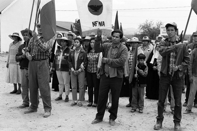 Cesar Chavez: An American Hero - Filmfotos - Michael Peña