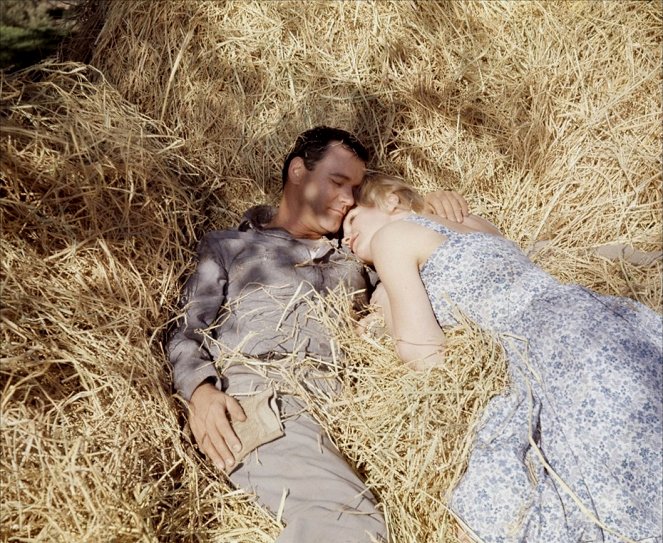 Days of Wine and Roses - Photos - Jack Lemmon, Lee Remick