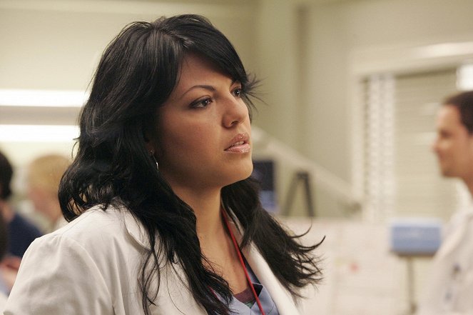 Grey's Anatomy - Die jungen Ärzte - Katastrophenalarm - Filmfotos - Sara Ramirez