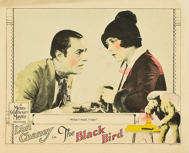 The Blackbird - Fotocromos