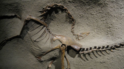 National Geographic: Dino Death Trap - Do filme