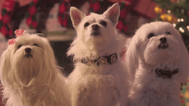 Die drei Hundketiere retten Weihnachten - Filmfotos