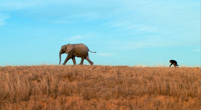 La Balade des éléphants - Film