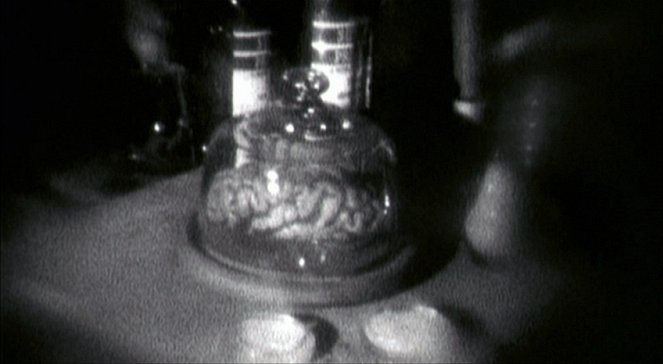 Brand Upon the Brain! - Van film