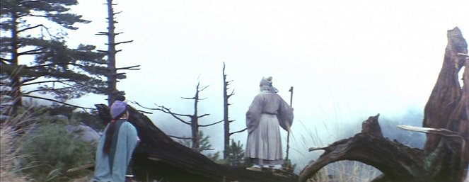 Yi dai jian wang - Van film