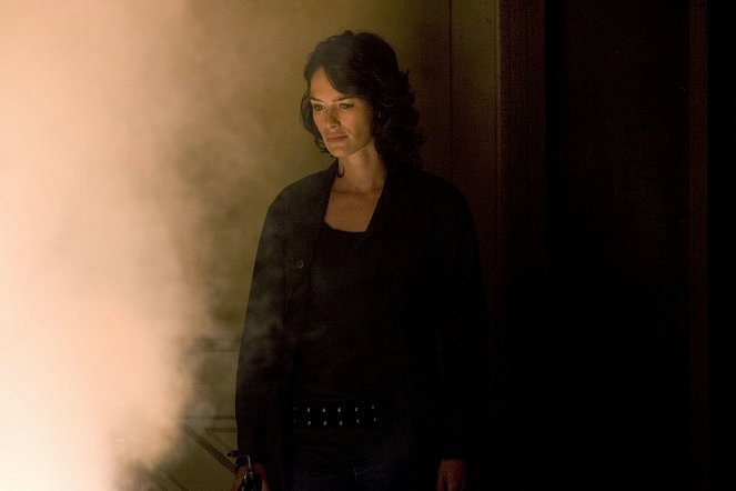 Terminator: The Sarah Connor Chronicles - Season 1 - The Demon Hand - Van film - Lena Headey