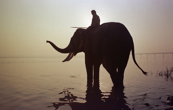 Az elefánt - Filmfotók
