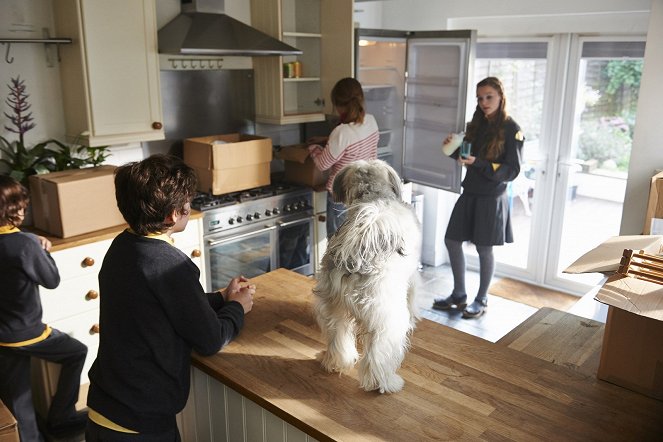Pudsey the Dog: The Movie - Photos