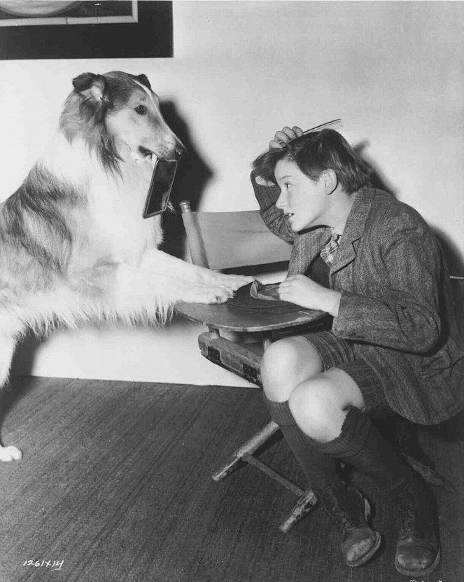 Lassie Come Home - De filmagens - Pal, Roddy McDowall