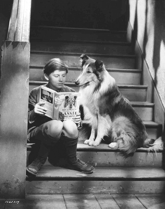 Lassie se vrací - Z natáčení - Roddy McDowall, Pal