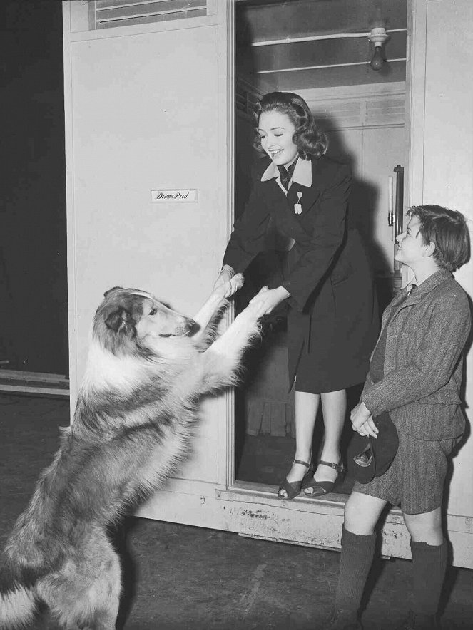 Lassie Come Home - De filmagens - Pal, Donna Reed, Roddy McDowall