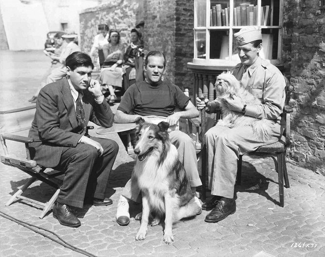 Lassie palaa kotiin - Kuvat kuvauksista - Pal, Fred M. Wilcox