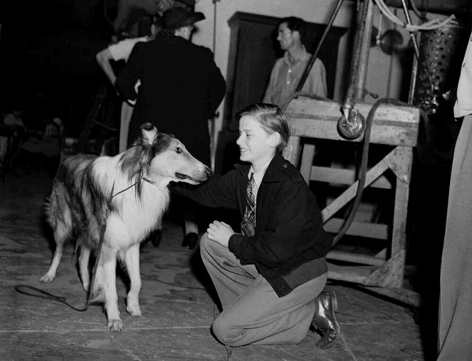 Lassie se vrací - Z natáčení - Pal, Roddy McDowall