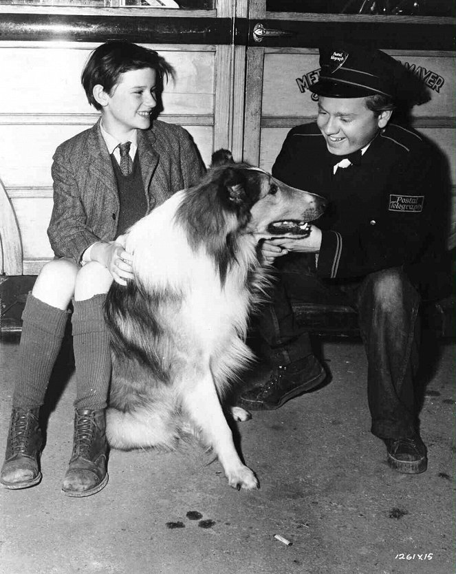 Lassie se vrací - Z natáčení - Roddy McDowall, Pal, Mickey Rooney