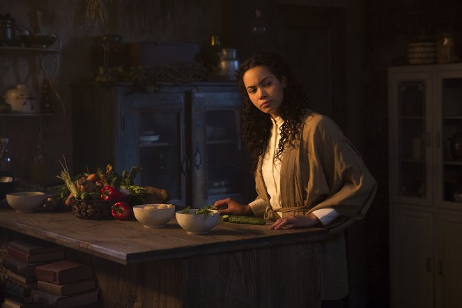 Into the Badlands - White Stork Spreads Wings - Photos - Madeleine Mantock