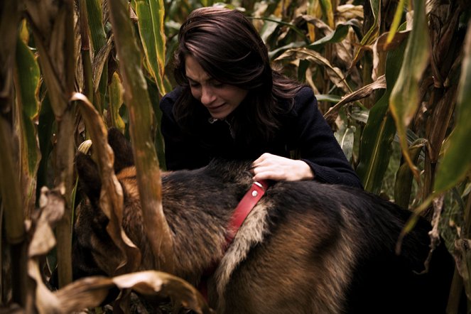 Snuf de hond en de jacht op vliegende Volckert - Film - Vivian van Huiden