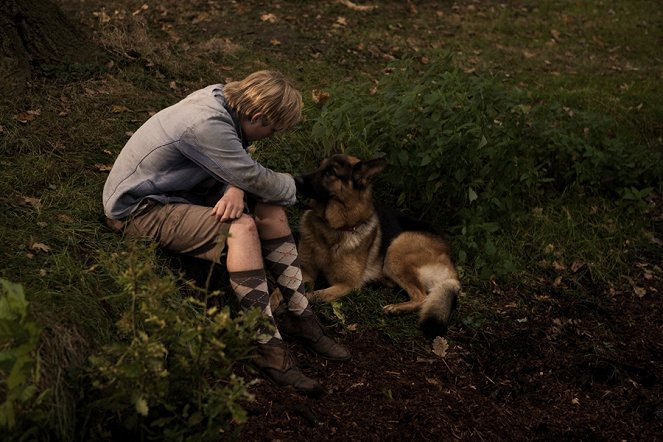 Sniff the Dog and the Flying Phantom - Photos - Tom van Kalmthout