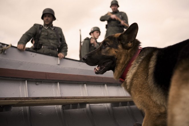 Snuf de hond en de jacht op vliegende Volckert - Film