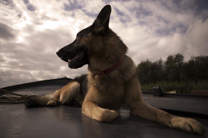 Sniff the Dog and the Flying Phantom - Photos