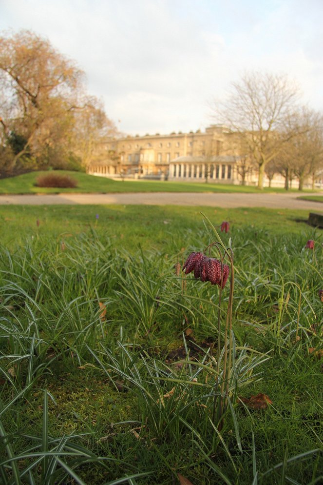 Zahrada Buckinghamského paláce - Z filmu