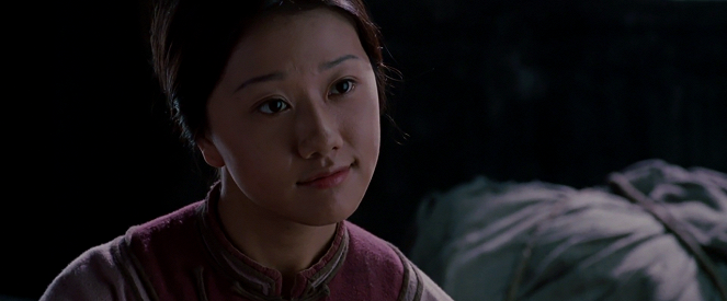 Crouching Tiger, Hidden Dragon - Van film - Li Li