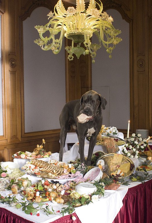 Tatort - Season 39 - Krumme Hunde - Filmfotos