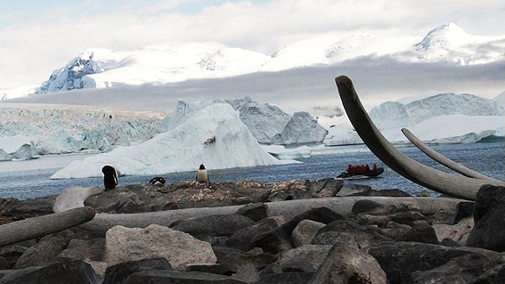 Destination Antarctique - De la película