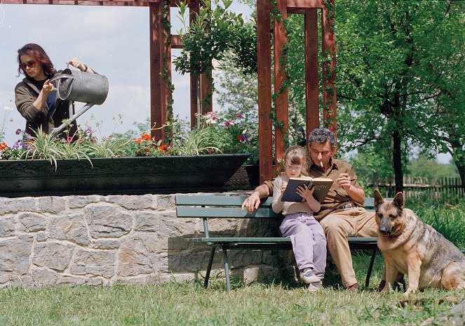 Csodálatos évek a kutyavilágban - Filmfotók - Ondřej Vetchý