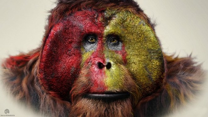 Ewolucja planety małp - Grafika koncepcyjna