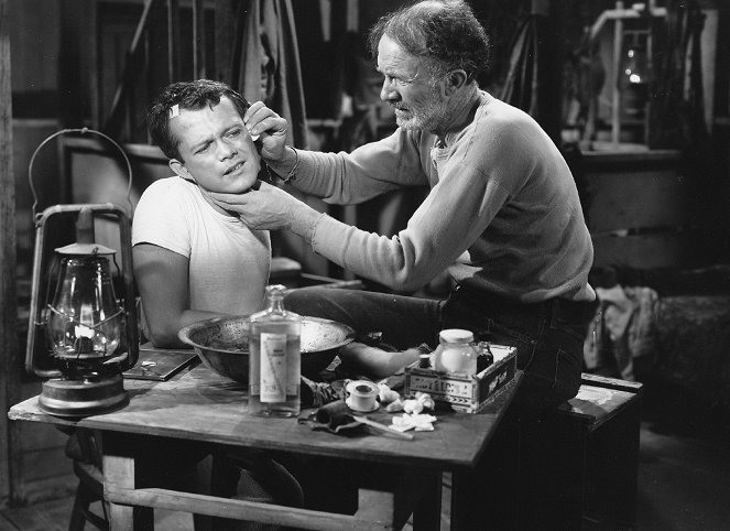 Scudda Hoo ! Scudda Hey ! - Film - Lon McCallister, Walter Brennan