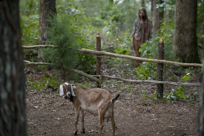 The Walking Dead - Season 6 - Az itt nem itt van - Filmfotók